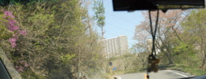 緑ある道