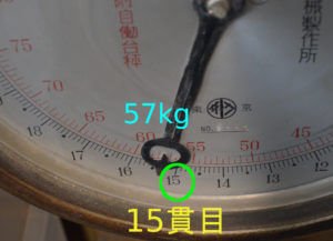 自分が乗ってみたところ